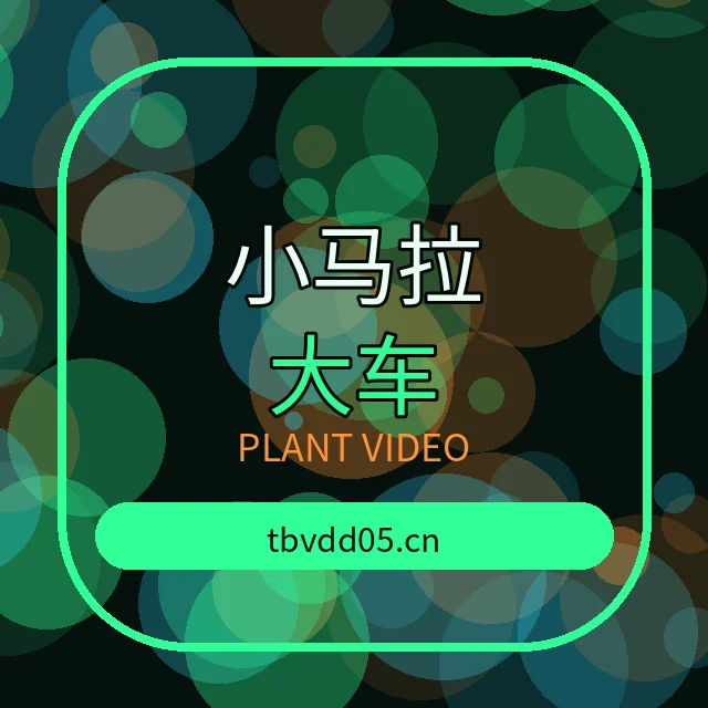 小马拉大车